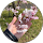 さとうママ profile picture