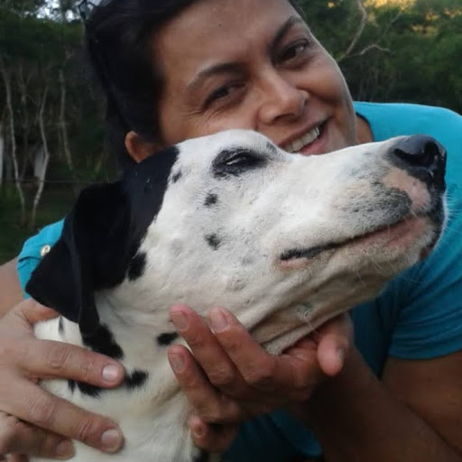 Bruê Clínica Veterinária — foto 5