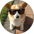 User profile - Robert DeBerry.