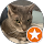 Lola R profile picture