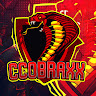 Photo de CcobraxXTTV