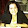 Elizabeth Fischer Laurie (via Google Docs)'s profile photo