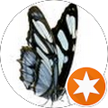 User profile - June Nielsen.