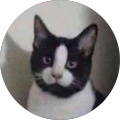 Avatar de Mickael.e