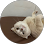 sandrina fbrnt
