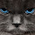 cmj...@gmail.com's profile photo