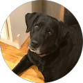 Tyler Mcferran | Math Tutoring Services - 