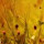 Haritha B's profile photo