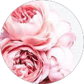 Avatar de Sylvie.A