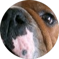 Avatar de benoit.a