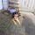 lucie...@gmail.com's profile photo