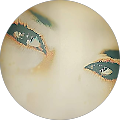Avatar de haidan.a
