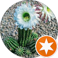 Rillito Nursery & Garden Center - Tucson, Arizona