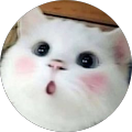 Avatar de Jojo.