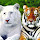 balaji ra's profile photo