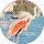 Eva Chenovart profile picture
