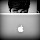 Murtaza Basrai's profile photo