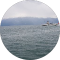 AWO Düsseldorf - Düsseldorf
