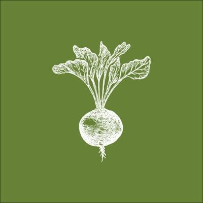 Yealy Eye Care photo 3