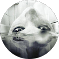 Avatar de Amandine.u