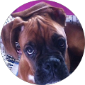 Avatar de Amélie.E