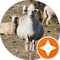 Anco Processing - Garnett, Kansas