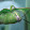 Asdans's profile photo