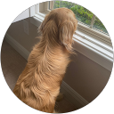 Terry barrett's profile image