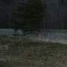 Photo of Ty,s Adventures