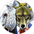 Avatar du profil de Gennaro Perrotti