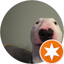 Mr. Guy Avatar