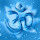 ila singh's profile photo