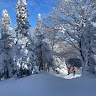 Photo de Alessia Lajoie