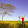 jorge.h...@netsite.com.br's profile photo