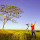 jorge.h...@netsite.com.br's profile photo