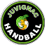 Juvignac handball