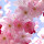 avani....@gmail.com's profile photo