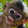 nvp152's profile photo