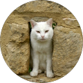 Avatar de bernard.o