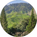 Haserul Ffendi