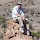 kul...@gmail.com's profile photo