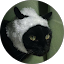 ききkiki