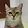 Engineer Scurve's profile photo