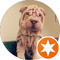 Avatar de AL1.2