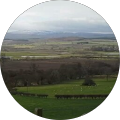 Screenforge Web Design - Hull