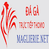 Đá Gà Trực Tiếp Thomo