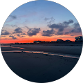 Blue Turtle Cottage - Holmes Beach, Florida