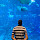 shett...@gmail.com's profile photo
