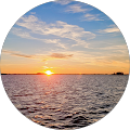 Almodovar Group, LLC - Tampa, Florida
