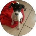 Avatar de Ludovic.e